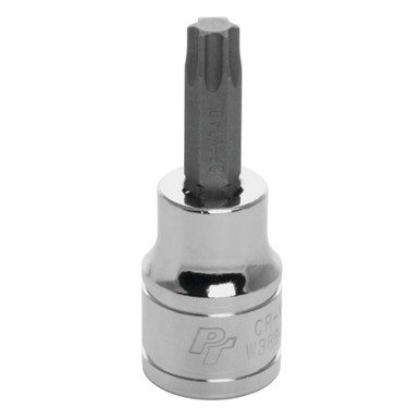 Performance Tool 3/8 In. Drive T40 Star Bit Socket