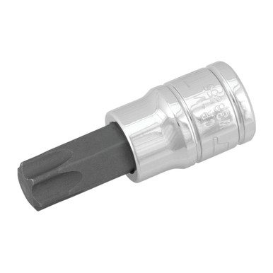 Performance Tool 3/8 In. Drive T55 Star Bit Socket